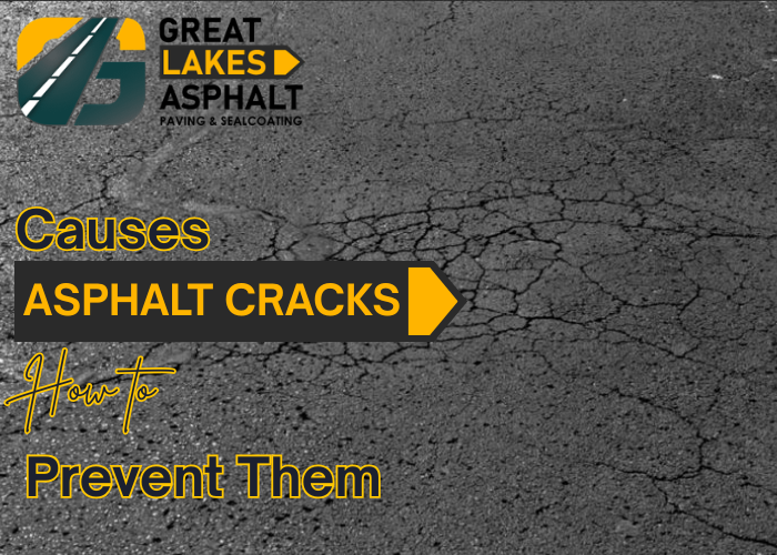 What Causes Asphalt Cracks and How to Prevent Them